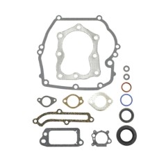 BRIGGS&STRATTON Dichtungssatz Segmentsatz 320023 493263 QUANTUM POWER XTL