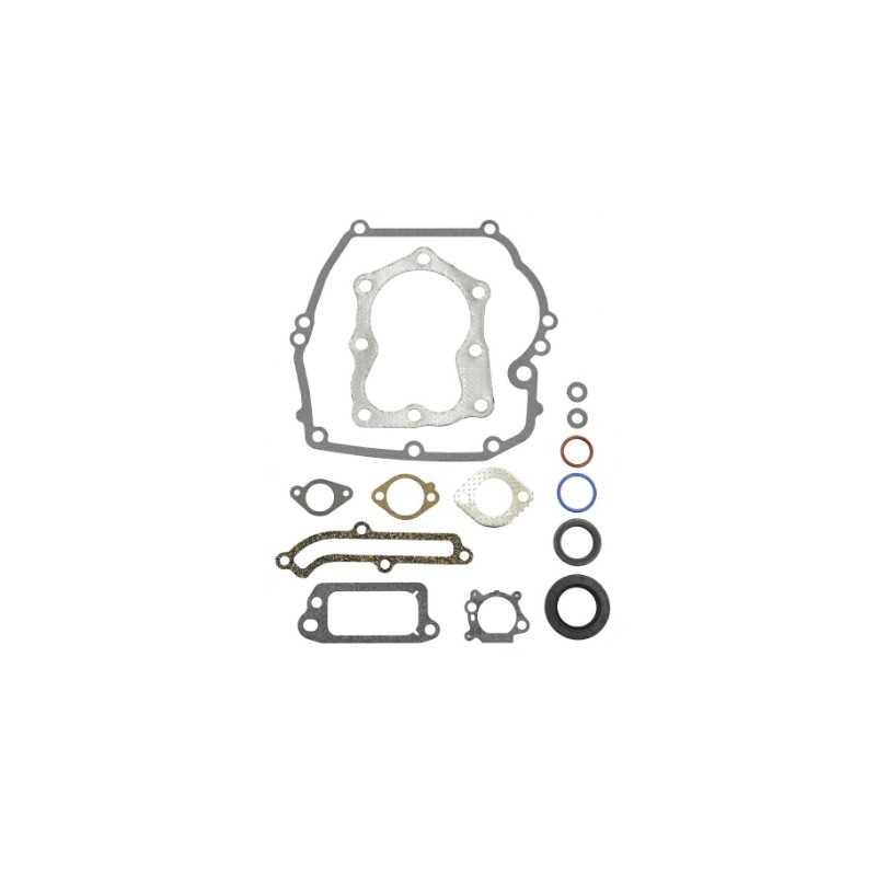 Serie segmenti kit guarnizioni BRIGGS&STRATTON 320023 493263 QUANTUM POWER XTL