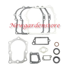 Serie segmenti kit guarnizioni BRIGGS&STRATTON 320024 391662 vecchi 4HP | NewgardenParts.com