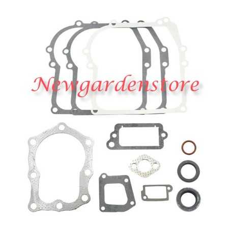 Serie segmenti kit guarnizioni BRIGGS&STRATTON 320024 391662 vecchi 4HP | NewgardenParts.com