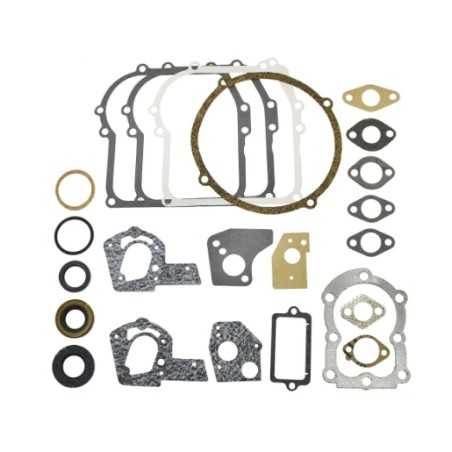 Serie segmenti kit guarnizioni BRIGGS&STRATTON 320032 495602 397144 vecchi 3,5HP | NewgardenParts.com