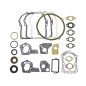 Serie segmenti kit guarnizioni BRIGGS&STRATTON 320032 495602 397144 vecchi 3,5HP