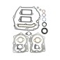 Serie segmenti kit guarnizioni BRIGGS&STRATTON 320035 497316 QUANTUM POWER XTL