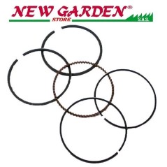 Petrol engine segment set ZANETTI ZBM390 B23.04.200 13010-ZE6-003 | NewgardenParts.com