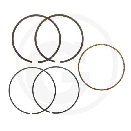 SERIE SEGMENTI | NewgardenParts.com