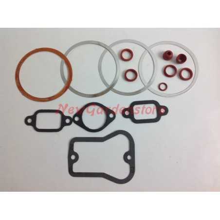 Dichtungssatz für Dieselmotor LOMBARDINI 5LD825-2 5LD 825-3 150009 | NewgardenParts.com