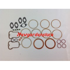 Serie smeriglio guarnizioni motore diesel LOMBARDINI RUGGERINI RD210 12LD477-2