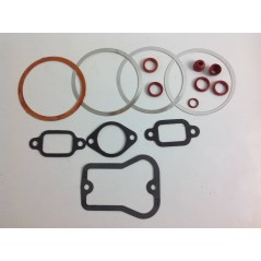 Juego amoladora juntas motor LOMBARDINI compatible LDA832 LDA833 LDA834 | NewgardenParts.com