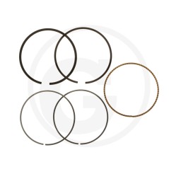 Set anelli ORIGINALE BRIGGS & STRATTON 795690 | NewgardenParts.com