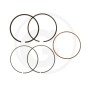 Set anelli ORIGINALE BRIGGS & STRATTON 795690
