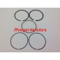 Set segmenti fasce pistone motore KAWASAKI trattorino rasaerba FH381V 13008-7001