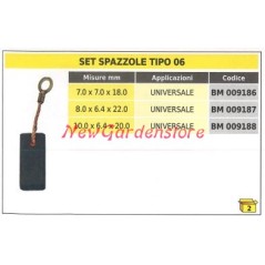 Brush set 2 pieces type 06 universal 10.0 x 6.4 x 20.0 mm 009188 | NewgardenParts.com