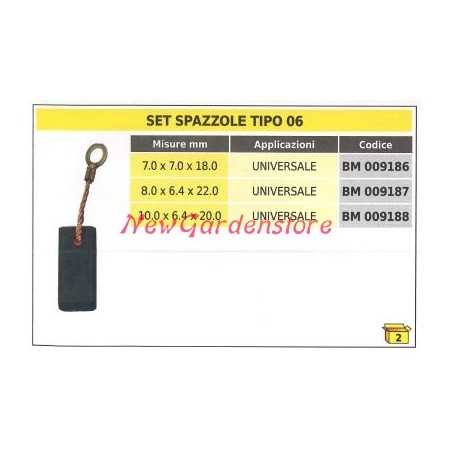 Juego de escobillas 2 piezas tipo 06 universal 8,0 x 6,4 x 22,0 mm 009187 | NewgardenParts.com
