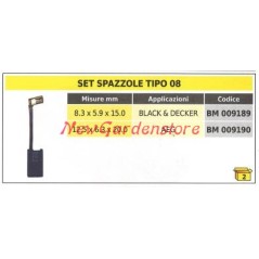 Jeu de brosses 2 pièces type 08 AEG 12,5 x 6,3 x 20,0 mm 009190