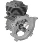 Bloque corto desbrozadora KASEI 43 cc Euro 5 Ø 40 mm 370479