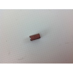 Radmotorbürste 10x5x5 für AMBROGIO L200 300-C0300 Roboter