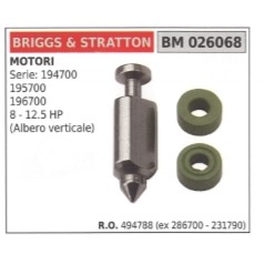 BRIGGS&STRATTON Vergaserstift mit vertikaler Welle Serie 194700 Rasenmäher 494788 | NewgardenParts.com