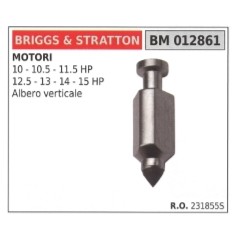 Spillo carburatore motore albero verticale BRIGGS&STRATTON trattorino tosaerba | NewgardenParts.com