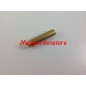 Spillo conico decespugliatore soffiatore ORIGINALE KAWASAKI TD033 16017-2003