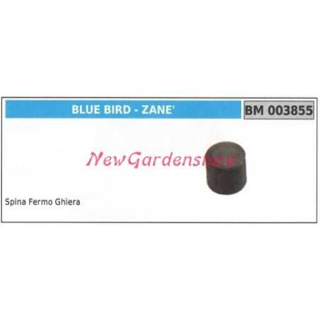 Pin retainer bevel gear pair BLUEBIRD brushcutter 003855 | NewgardenParts.com