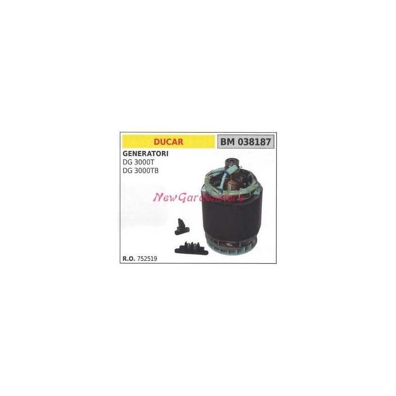 DUCAR stator électrique pour générateur DG 3000T DG 3000TB 038187 752519