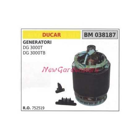 DUCAR stator électrique pour générateur DG 3000T DG 3000TB 038187 752519 | NewgardenParts.com