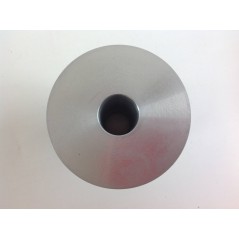 GRIN HM PM Rasenmähermäher Kegel Zentrierscheibe PRT-0193 | NewgardenParts.com