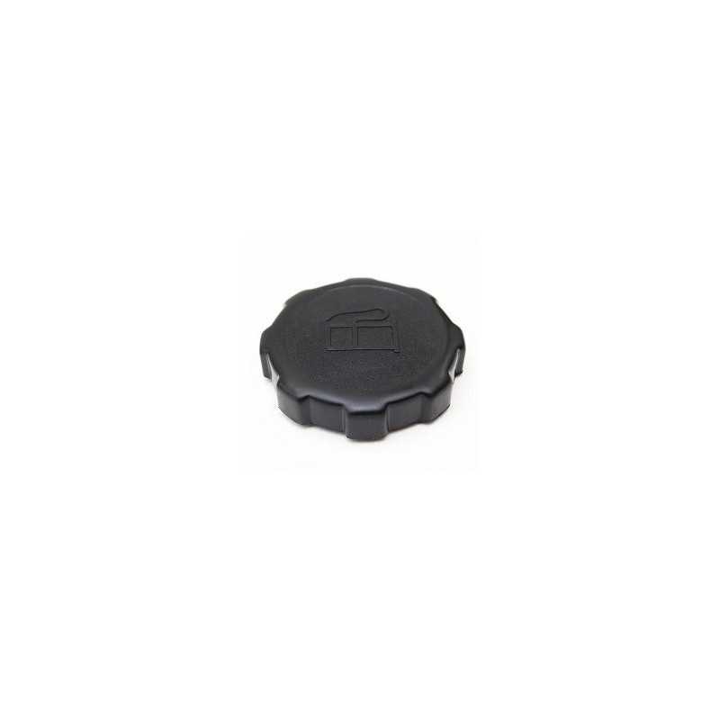 Fuel cap 550 750 VANGUARD 5.5 6.5 8 10HP BRIGGS&STRATTON 202043 794641