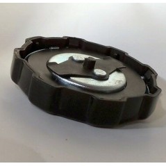 Bouchon de réservoir 550 750 VANGUARD 5.5 6.5 8 10HP BRIGGS&STRATTON 202043 794641 | NewgardenParts.com