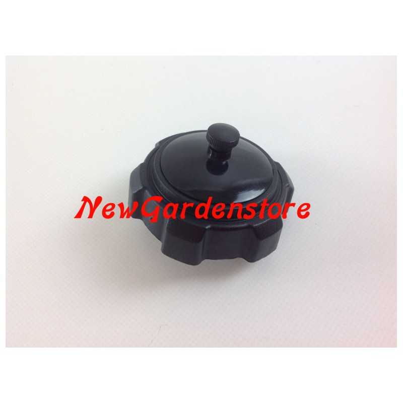 Bouchon de remplissage de carburant BRIGGS & STRATTON 202003 493988