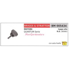 Tappo olio B&S tagliaerba tosaerba rasaerba QUANTUM serie 005434 | NewgardenParts.com