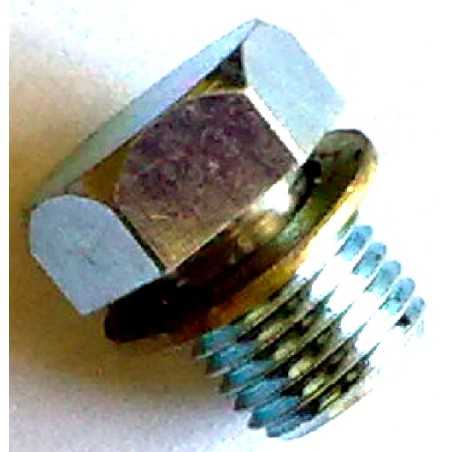 UNIVERSAL cylinder plug DIAMETER 10 X M1 | NewgardenParts.com