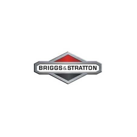 Tappo riempimento olio motore rasaerba BRIGGS & STRATTON 493668 | NewgardenParts.com