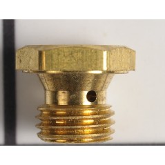 Tapón de llenado de aceite del motor del cortacésped original BRIGGS & STRATTON 493763