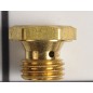 Bouchon de remplissage d'huile pour moteur de tondeuse à gazon BRIGGS & STRATTON d'origine 493763