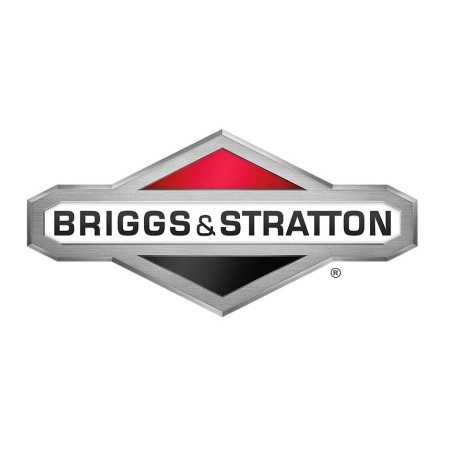 Terminale ORIGINALE BRIGGS & STRATTON 281223 | NewgardenParts.com