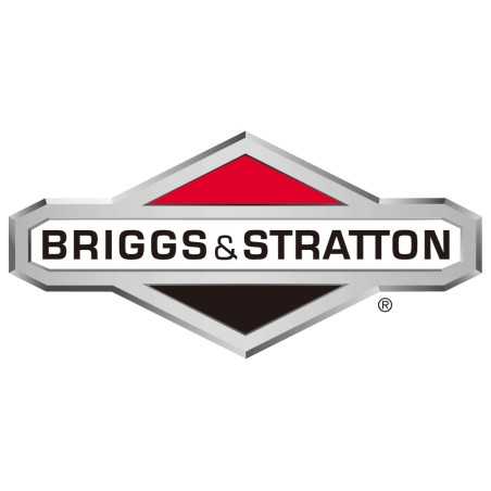 Testa cilindro motore tagliaerba rasaerba tosaerba BRIGGS & STRATTON 794870 | NewgardenParts.com