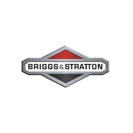Tester motore 3 cilindri ORIGINALE BRIGGS & STRATTON 19400 | NewgardenParts.com