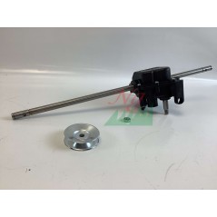 Transmission pour tondeuse à gazon ORIGINAL BRIGGS E STRATTON 7500103YP