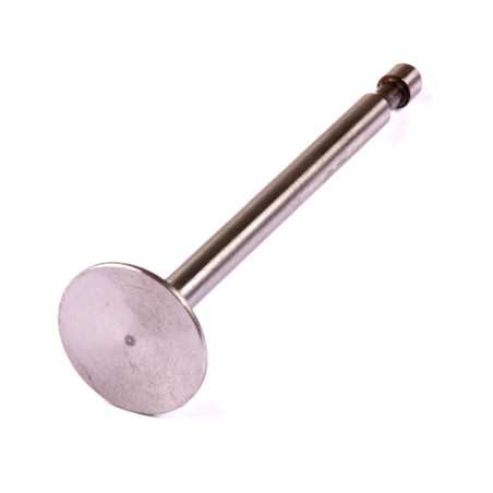 Válvula motor cortacésped original BRIGGS & STRATTON 261233 | NewgardenParts.com
