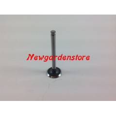 ORIGINAL Rasentraktor Motorventil KAWASAKI FH531V 12005-7003 | NewgardenParts.com