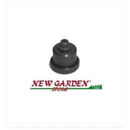 Valve de pompe 6LD-12LD LOMBARDINI cod.orig:9672.029 ref : 6F.15.9672.03 | NewgardenParts.com