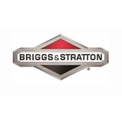 Valvola scarico ORIGINALE BRIGGS & STRATTON 590531 | NewgardenParts.com