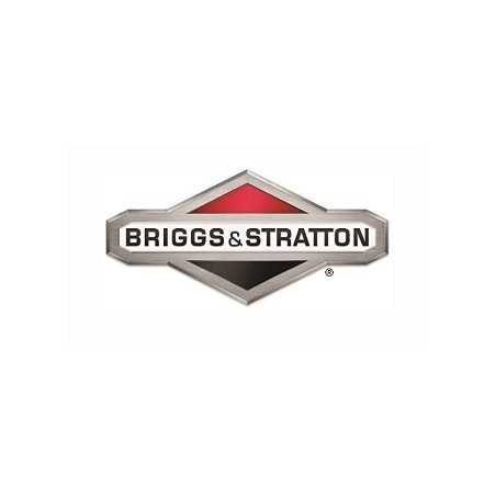 Valvola scarico ORIGINALE BRIGGS & STRATTON 590531 | NewgardenParts.com