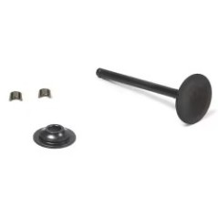 SOUPAPE D'ÉCHAPPEMENT ORIGINAL BRIGGS&STRATTON 716519 | NewgardenParts.com