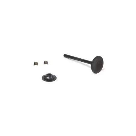 Valvola scarico ORIGINALE BRIGGS&STRATTON 716519 | NewgardenParts.com