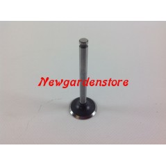 ORIGINAL lawn tractor engine valves KAWASAKI FH531V 12004-7003