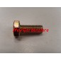 Brushcutter bolt screw 270136 8x1,25 Sx length 20 mm
