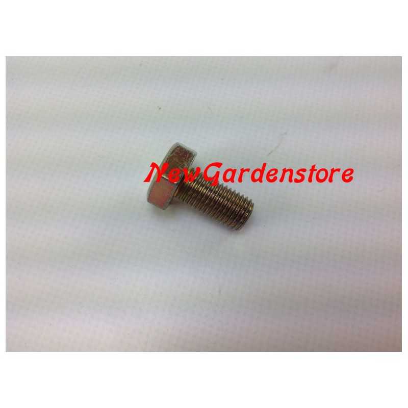 Bolzenschraube für Freischneider 270138 10x1,25 Sx