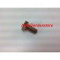 Bolzenschraube für Freischneider 270138 10x1,25 Sx
